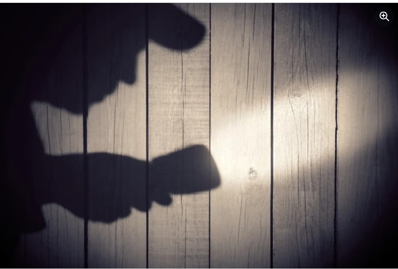 Shadowing & Personal Surveillance Services